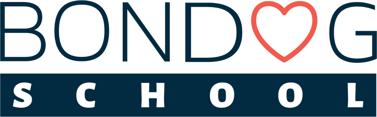 לוגו BONDOG School